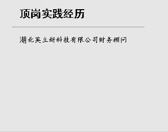顶岗实践经历,湖北英立新科技有限公司财务顾问