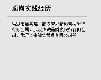 顶岗实践经历,洪湖市商务局，武汉智能新城科技发行有限公司，武汉杰诚晟财税服务有限公司，武汉本来餐饮管理有限公司等